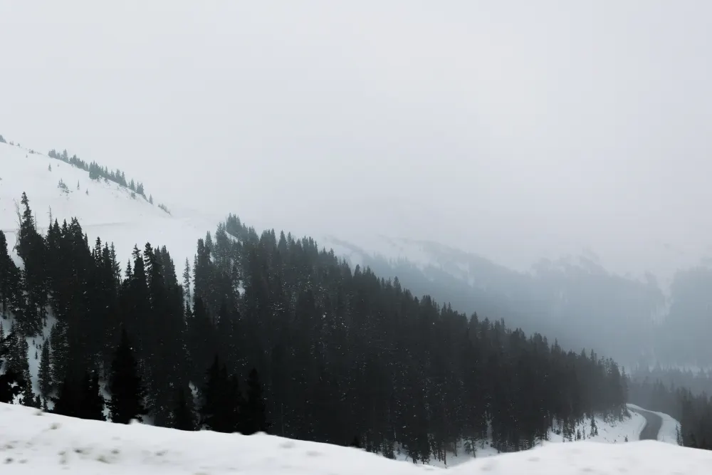 A plowed mountain highway winding through snow-covered evergreens into fog near Loveland Pass